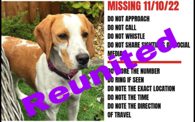 Lola’s Success Story Oct 2022