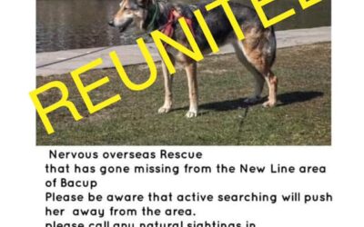 Maggie’s success story August 2021