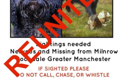 Oscar’s success story January 2022