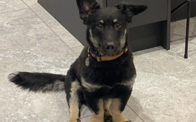 Beatrice’s success story December 2021