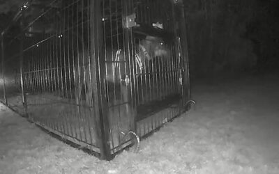 Bobby’s success story January 2022