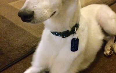 Bruce’s success story February 2022