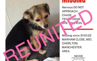 Lily’s success story February 2022