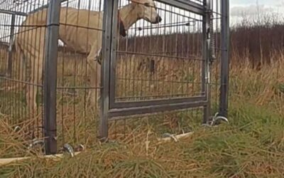 Lady’s success story February 2022