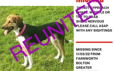 Pippa’s success story April 2022