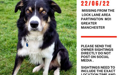 Kipper’s success story June 2022