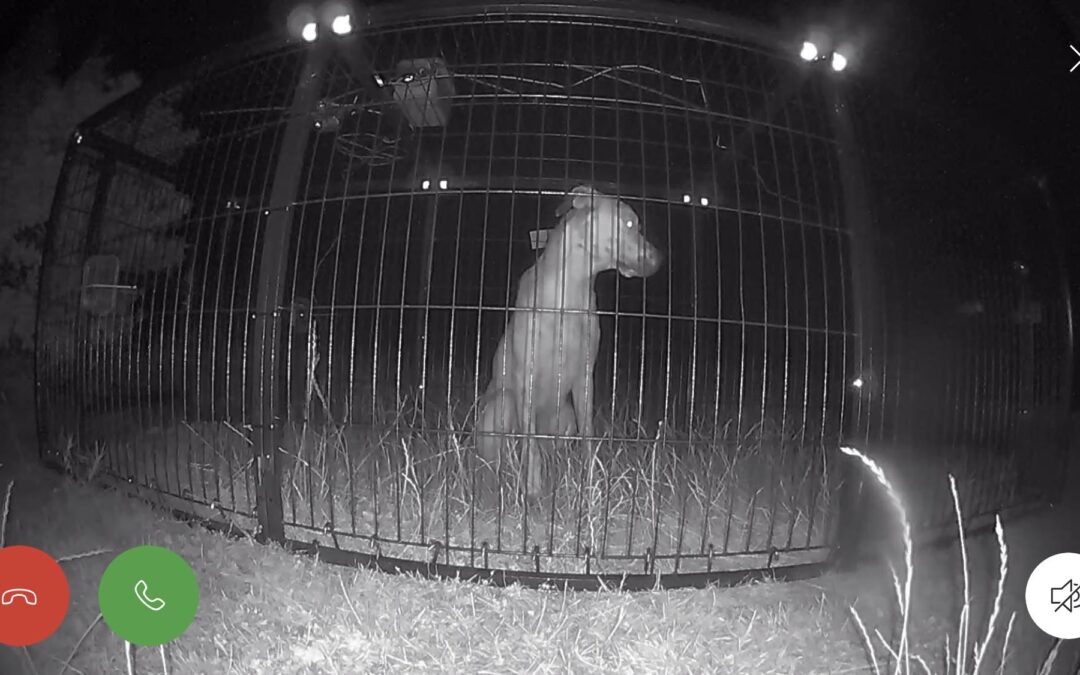 Luna’s success story July 2022