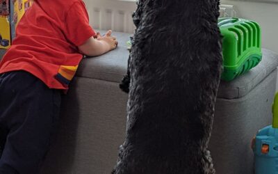 Norman’s success story August 2022