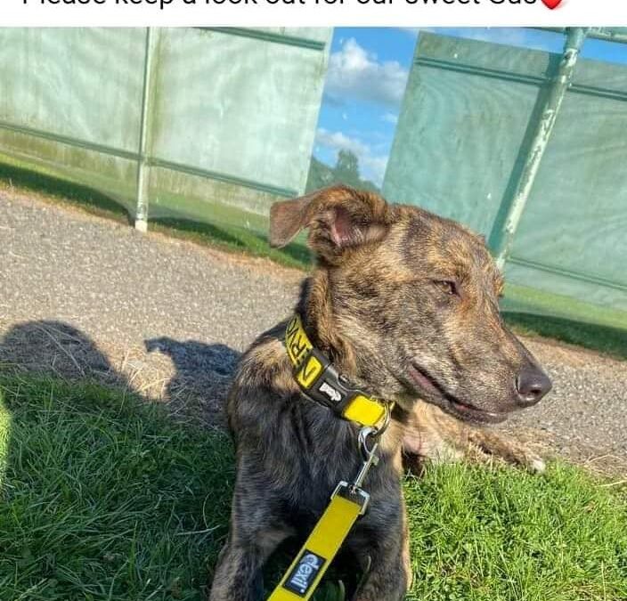 Gus’ success story August 2022