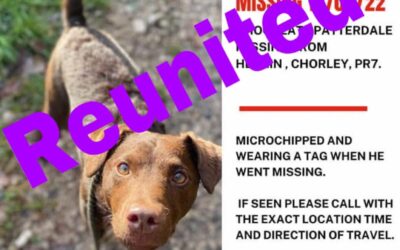 Lenny’s success story September 2022