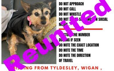 Lulu’s success story October 2022