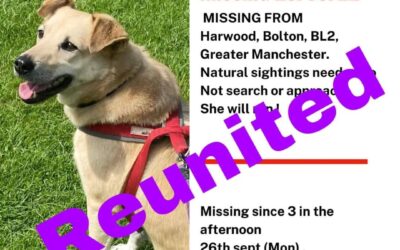 Luna’s success story September 2022