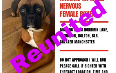 Luna’s success story October 2023