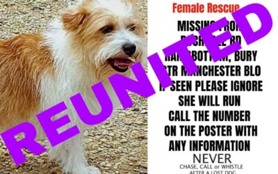 Penny’s success story December 2022