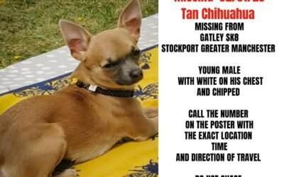 Boris’ success story January 2023