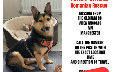 Angel’s success story December 2022