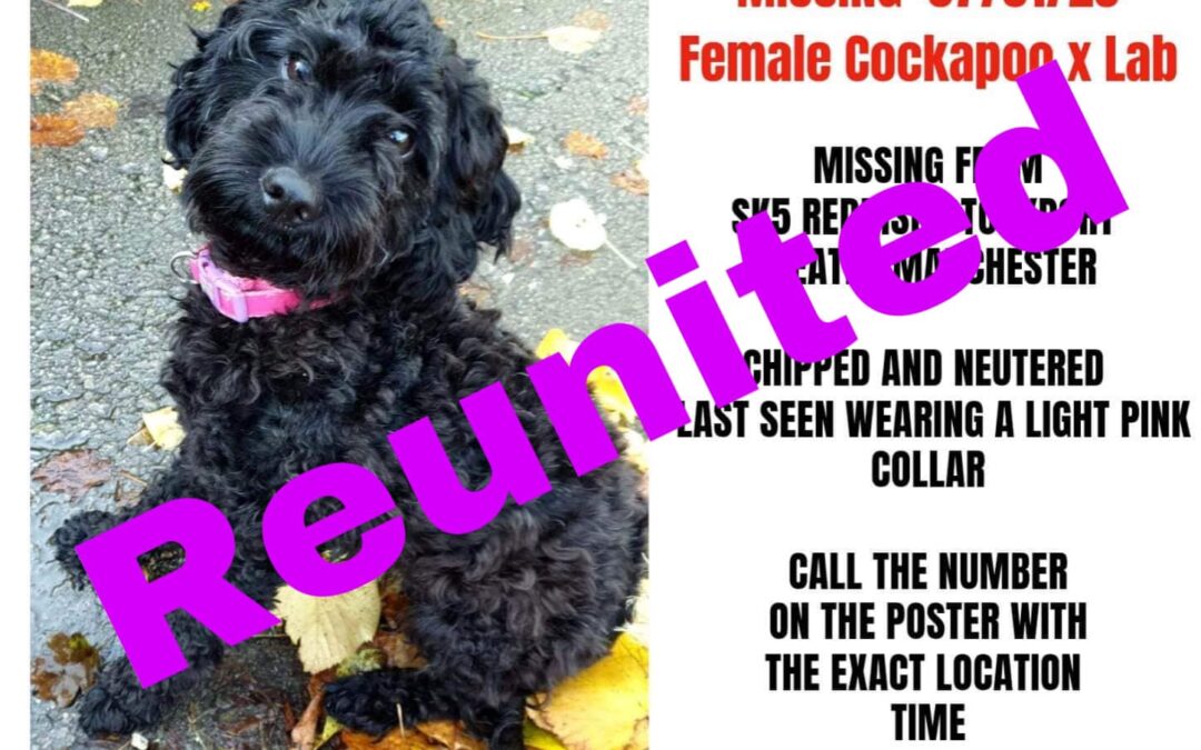 Luna’s success story January 2023