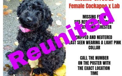 Luna’s success story January 2023