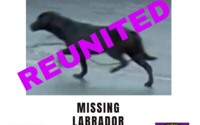 Katie’s success story January 2023