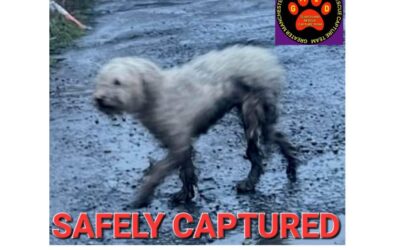 Tara’s success story January 2023