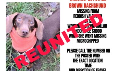 Violet’s success story January 2023