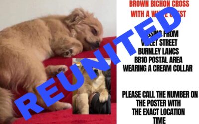 Roxy’s success story February 2023