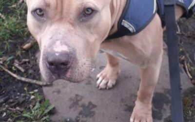 Sonny’s success story March 2023