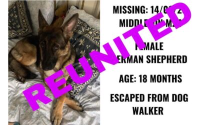 Kiki’s success story March 2023