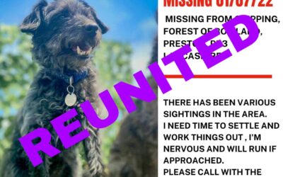 Elvis’ success story July 2022