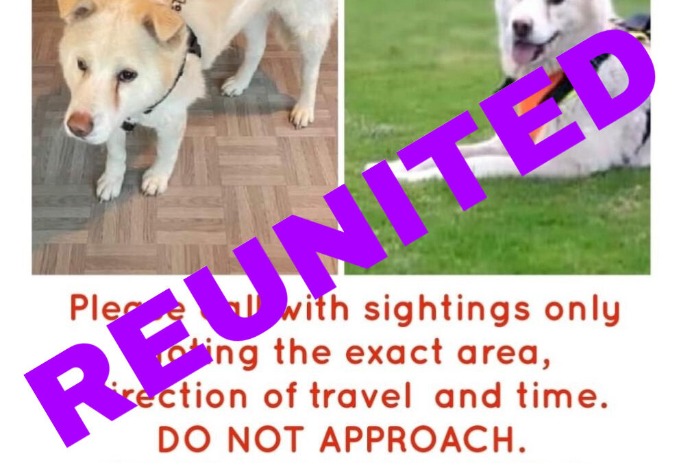 Gianni’s success story November 2021