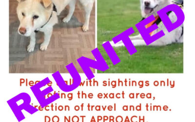 Gianni’s success story November 2021