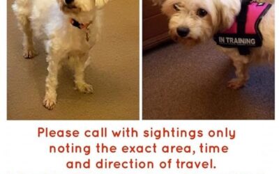 Candy’s success story November 2021