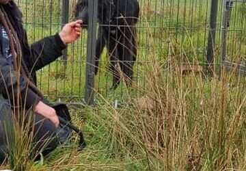 Chase’s Success Story May 2021