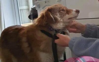 Lotta’s Success Story July 2021