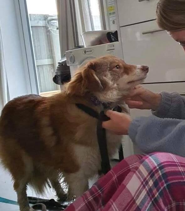 Lotta’s Success Story July 2021