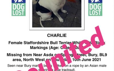 Charlie’s Success Story June 2021