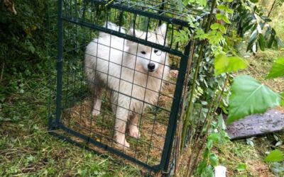 Sammy’s success story August 2021