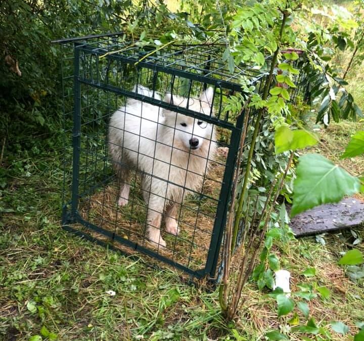 Sammy’s success story August 2021