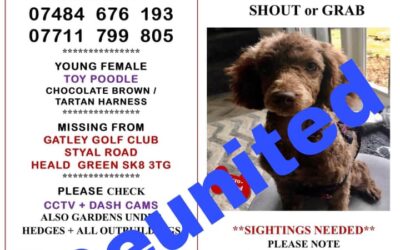 Chocco’s Success Story July 2020