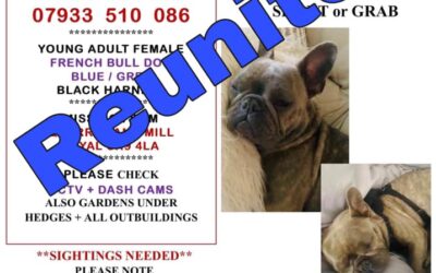 Keke’s Success Story July 2020