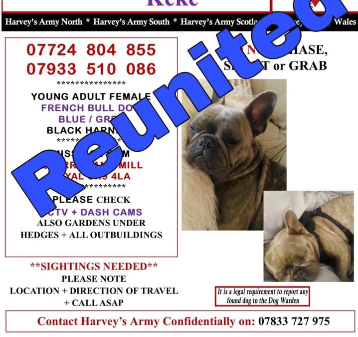 Keke’s Success Story July 2020