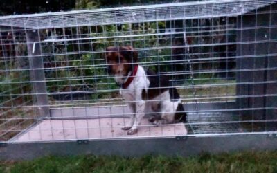 Elsie’s Success Story July 2020