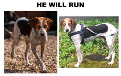 Sky’s Success Story August 2020