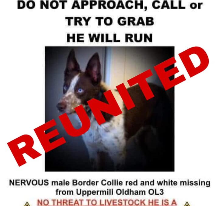 Rover’s Success Story October 2020