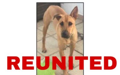 Finn’s Success Story December 2020