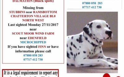 Finn’s Success Story December 2017