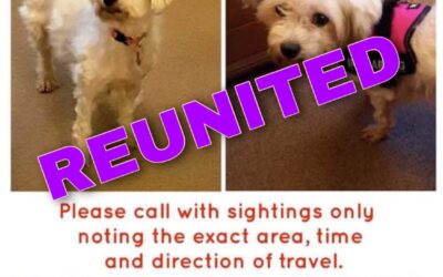 Candy’s Success Story November 2021