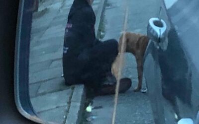 Toby’s Success Story March 2018