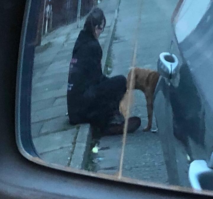 Toby’s Success Story March 2018