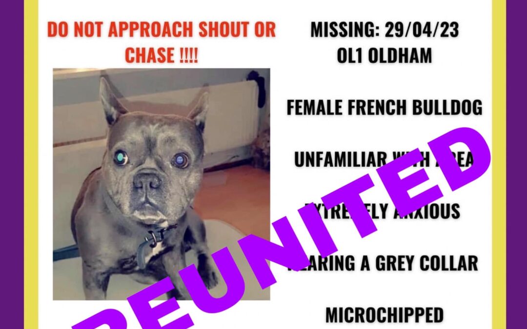 Lola’s Success Story April 2023